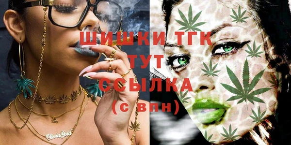 прущая мука Арсеньев