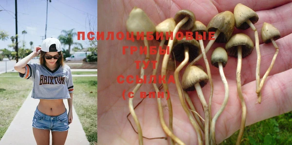 эйфоретик Пересвет
