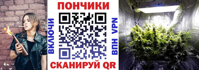 Бошки марихуана гибрид  Курчатов 